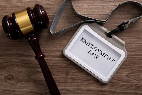 Schaumburg, IL Employment Law Attorney